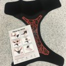 프로핏 | 프로핏 발목보호대 착용 후기, 운동할 때 꼭 챙기게 되는 이유