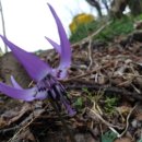 유태네 농장 이미지