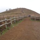 정선 민둥산 지억산 삼내약수 이미지