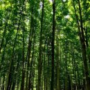 메드웨이 이미지