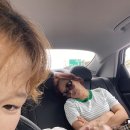 블랜드미