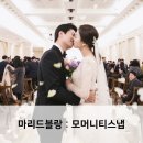 모머니티스냅 이미지