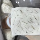 늘채움뷰티 - 창원시 진해구 덕산로45번길 28 | 늘채움뷰티
