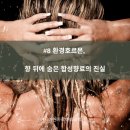 환경호르몬 프리 허브 린스, 섬유유연제 만들기 | #8 환경호르몬, 향 뒤에 숨은 합성향료의 진실