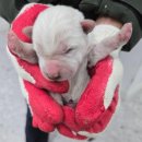 가회초등학교 이미지