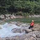 남원소방서 이미지