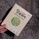 댕댕토피아 이미지