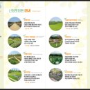 아산시신정호관리사무소 이미지