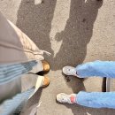 대가면옥 | 광양 매화축제 맛집 은성면옥 30년 한식대가 서울식불고기 솔직후기