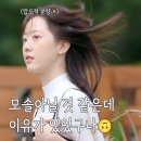 모태솔로지만 연애는 하고싶어 ott 나이 직업 후기 풋풋함과 답답함이 공존하는 리얼 예능
