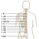 부황기 한의사의 의견을 들어보자! 이미지