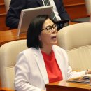 종로노인종합복지관 무악센터 | 노무현 사위 곽상언, '특정 유튜버를 신앙처럼..' 소신 발언 "다른 목소리는 '수박' 낙인, 민주주의라...