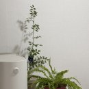 추억의 술빵 만들기(A반) | 2025년 상반기