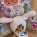 (주)다람지 이미지