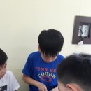 경희대 진명태권도 이미지