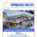(주)카펙발레오 이미지