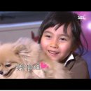뽀송 이미지