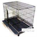 대형애견 이미지