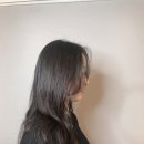 살롱드포레 - 용인시 수지구 | 살롱드포레