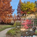 지에스25미아유정점 | 저물어가는 가을을 붙잡다! 인천대공원 단풍 나들이 후기 (ft. 아이와 함께)