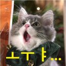 인송농장 이미지