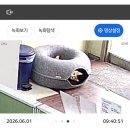 플랩잭스쥬스카페 | 블로그 밀린 동안 이상한 일이 한가득...