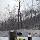 더숲캠핑장 | 조용한 서울근교 캠핑장 추천, 춘천더숲 캠핑장 C3 후기