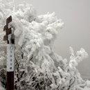 집단시설지구 이미지