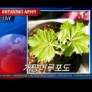 세주농장 이미지