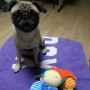 손바느질 이미지