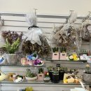 다산빌딩 | 남양주 다산꽃집 헬로데이지 플라워 꽃다발 후기