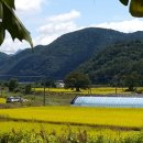 가은초등학교희양분교장 이미지