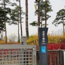 ㈜푸른주유소 안양지점 | [구로 나들이] 항동저수지 푸른수목원 - 주말 산책, 인생사진 찍기