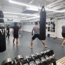 코리안탑팀 강서 이미지