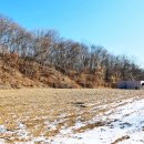 조안1리 마을회관 이미지