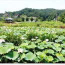 충주자연생태체험관 이미지