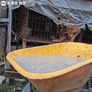 무리개농장 이미지