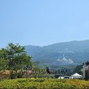 청심유치원 | 꽃, 새, 정원이 있는 스마일링 힐링 파크 [가평 베고니아새정원]