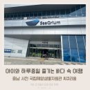 국립해양생물자원관 씨큐리움 | 충남 서천 아이와 가볼만한곳 국립해양생물자원관 씨큐리움 후기 바다 속이 통째로