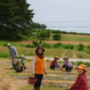 전주동산인력
