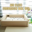 모닝스타(주) 이미지