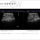 강남종합동물병원 이미지