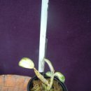 서하농장 이미지