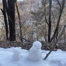 자작나무 스테이 이미지