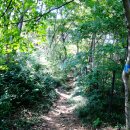 미륵산둘레길 이미지