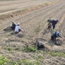 고령군 농업기술센터 이미지