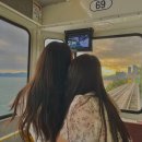 호랑이상회