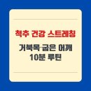 건강스트레칭 이미지