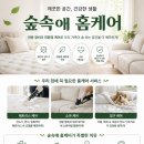 숲속애홈케어