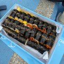 중앙김밥 - 안산시 단원구 | [여수맛집] 여수 김밥 맛집 '바다김밥 중앙본점' 후기
